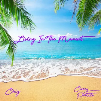 Living in the Moment (Radio Edit) by Chiz