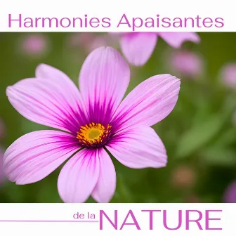 Harmonies Apaisantes de la Nature: Sons Relaxants pour une Détente Totale Toute la Journée by Cécile Doudou