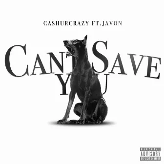 Can't Save You by Cashurcrazy