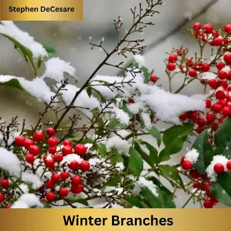 Winter Branches by Stephen DeCesare