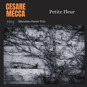 Petit Fleur by Cesare Mecca