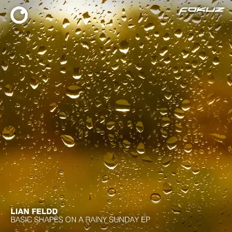 Basic Shapes On A Rainy Sunday by Lian Feldd