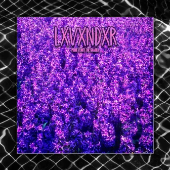 LXVXNDXR by L1FEL1NE