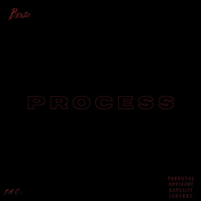 PROCESS/YOUR FAULT