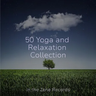 50 Yoga and Relaxation Collection by RelaxMyCat