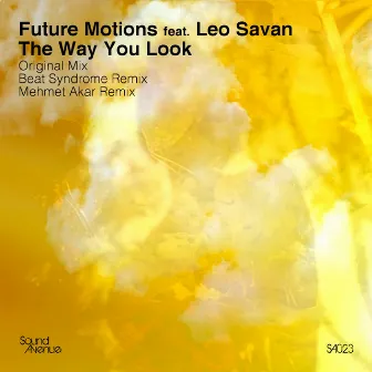 The Way You Look by Leo Savan