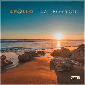 Wait for You by Apollo