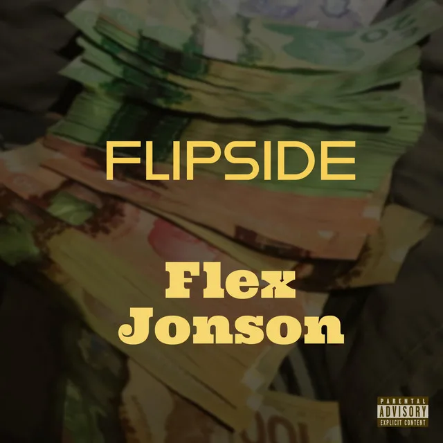 Flipside