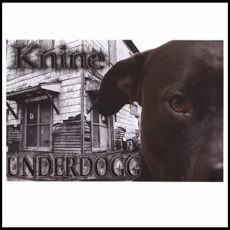 Underdogg by Knine