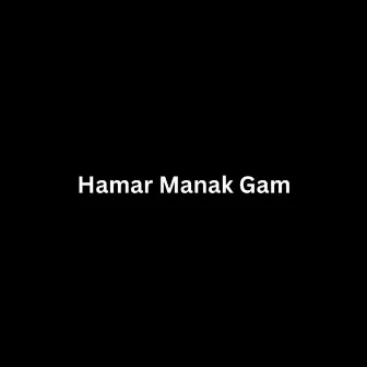 Hamar Manak Gam by Avanti Nagral