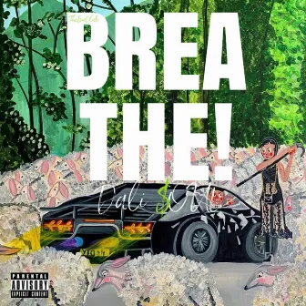 BREATHE! by Dali $oul