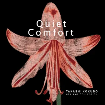 Healing Collection: Quiet Comfort by Takashi Kokubo