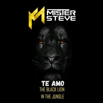 Te Amo by Mr Steve