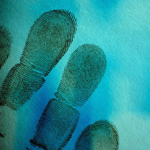 fingerprint