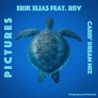 Pictures (Carib' Dream Mix) by Erik Elias