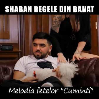 Melodia fetelor cuminti by Shaban Regele din Banat