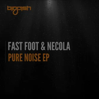 Pure Noise EP by Necola