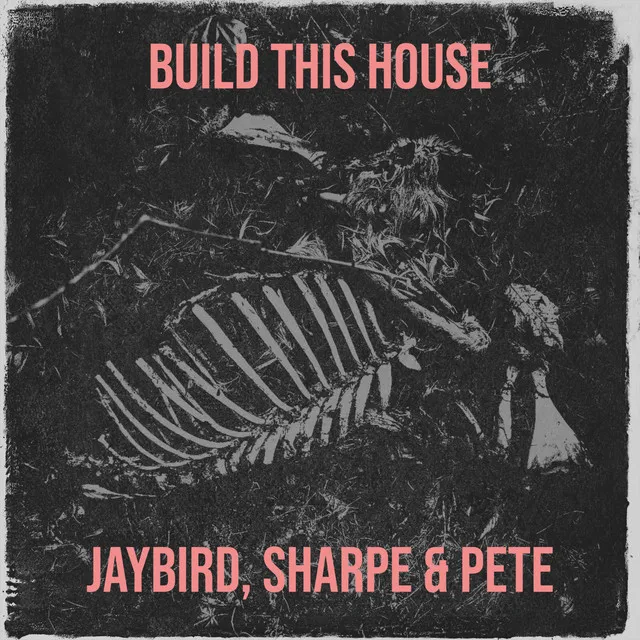 Build This House