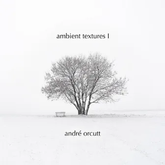 Ambient Textures I by André Orcutt