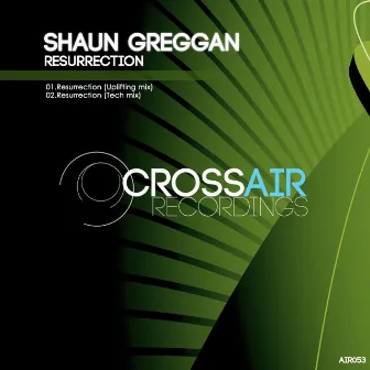 Resurrection by Shaun Greggan