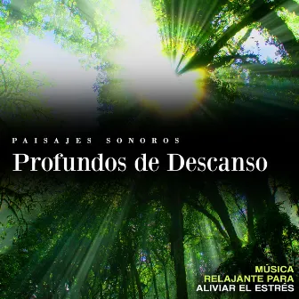 Paisajes Sonoros Profundos de Descanso by Música relajante para aliviar el estrés