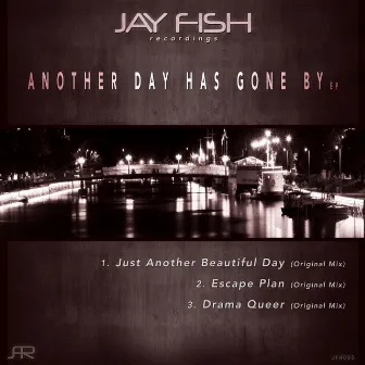 Another Day Has Gone By by Jay Fish