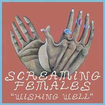 Wishing Well - Single by Screaming Females