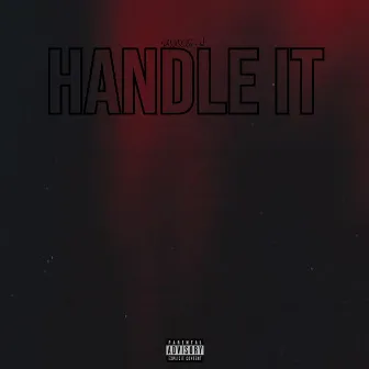 HANDLE IT by Pinque