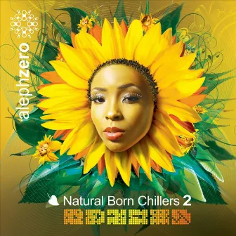 Natural Born Chillers 2 (Remixes) by Bluetech