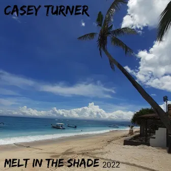 Melt in the Shade by Casey Turner