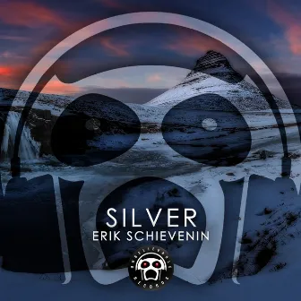 Silver by Erik Schievenin