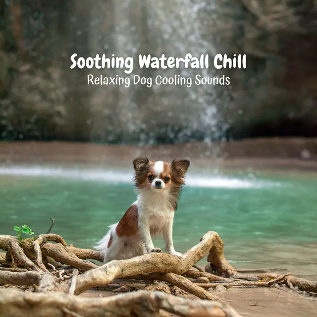 Soothing Waterfall Chill: Relaxing Dog Cooling Sounds