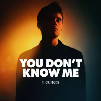 You Don't Know Me by Thornberg