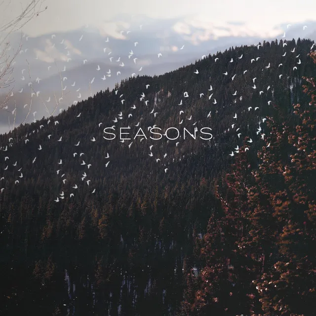 Seasons