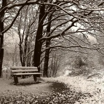 My Parkbench Eyes by The 'Over