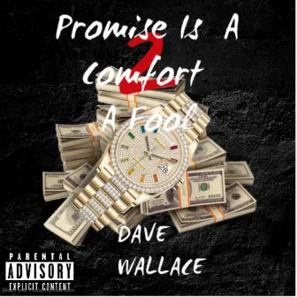 Promise Is a Comfort to a Fool by Dave Wallace