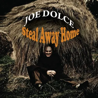 Steal Away Home by Joe Dolce