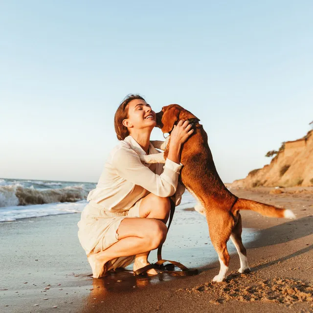 Oceanic Paws and Relax: Creating Serenity for Pets