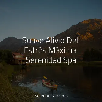 Suave Alivio Del Estrés Máxima Serenidad Spa by Relajante Academia de Música Zen