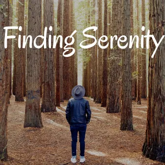 Finding Serenity: Yoga Class, Ambient Music, Yoga, Nature Sounds, Relaxing Music by Wisdom Academy