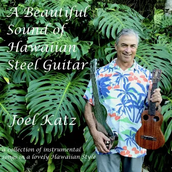 A Beautiful Sound of Hawaiian Steel Guitar by Joel Katz