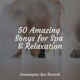 50 Amazing Songs for Spa & Relaxation by Gentle Rain Makers