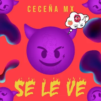 Se le ve by Ceceña MX