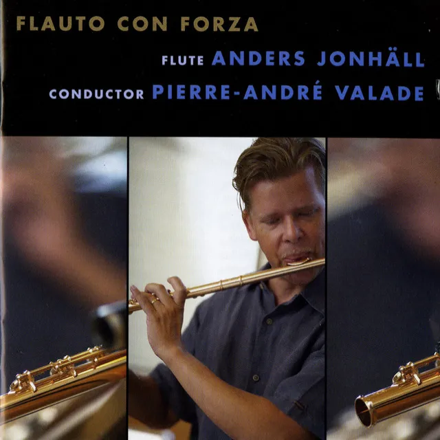 Flute Concerto: I. —