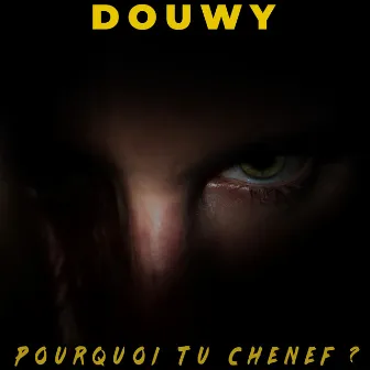 Pourquoi tu chenef ? by Douwy