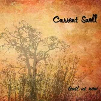 Trust Us Now by Current Swell