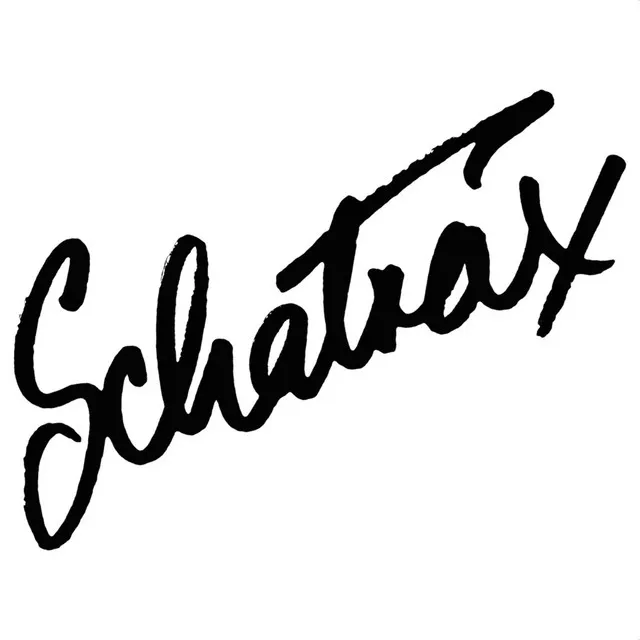 SCHATDV06