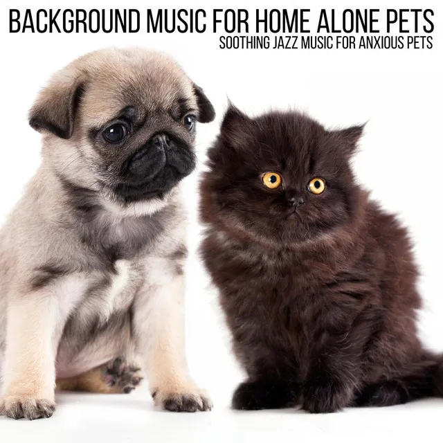 Background Music for Home Alone Pets