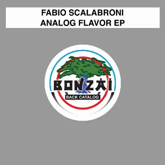 Analog Flavor EP by Fabio Scalabroni