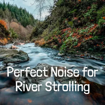 Perfect Noise for River Strolling by Sleep Music Bliss